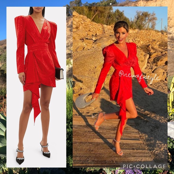 Ronny Kobo LILIAN ZEBRA MOIRÉ MINI DRESS - Picture 5 of 13